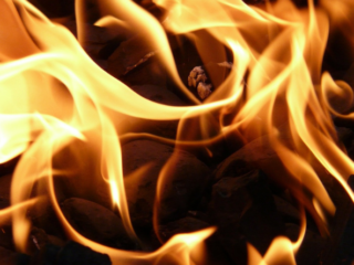 Billige træbriketter i Tyskland sparer penge.